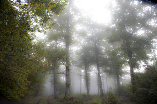 Un jour d'automne.