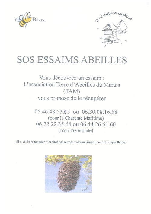 SOS ESSAIMS ABEILLES