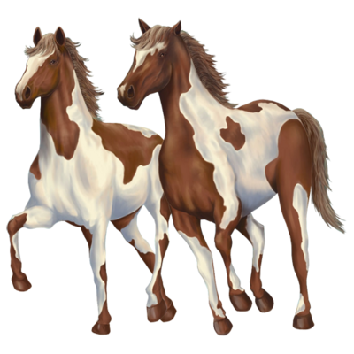 Chevaux