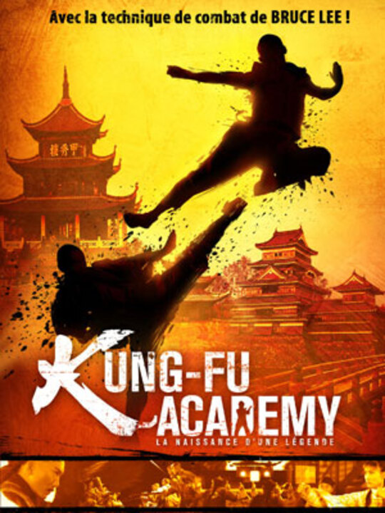 Kung-Fu Academy (Kung Fung Wing Chun) (Lady Kung Fu)