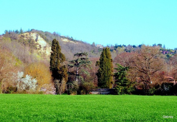 V08 - Maison dans les arbres