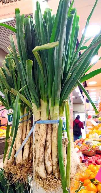 venez avec moi faire un tour au marché 