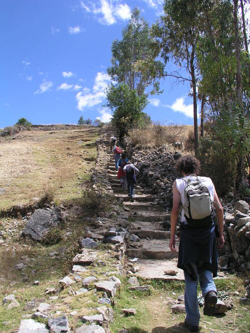 Voyage au Pérou août 2009,Site archéologique de Willkawain /Huaraz