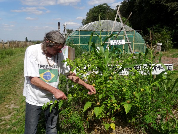 Une rencontre avec Robert Cruel, alias "Monsieur Tomate", collectionneur fou de tomates et de plantes amérindiennes...