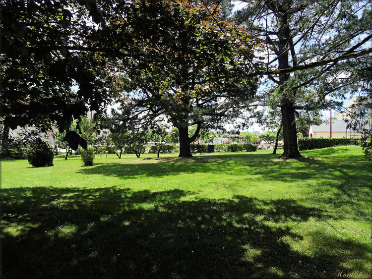 Photos promenade dans le parc (Haras de Vendée)