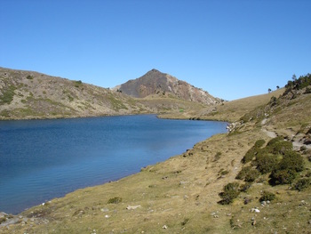 Au bord de l'étang de Trebens (avec la petite cabane près de son extrémité aval)