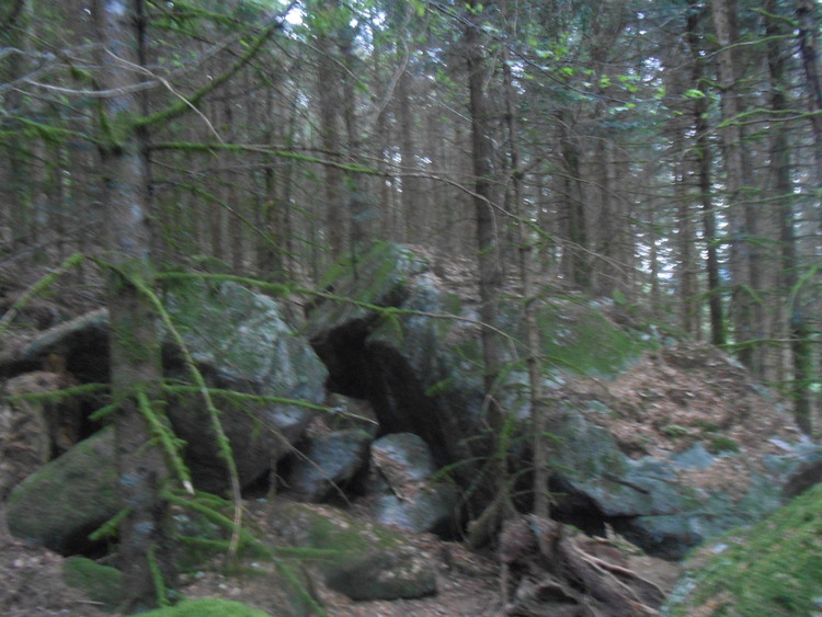 Vosges- les roches du Géhant
