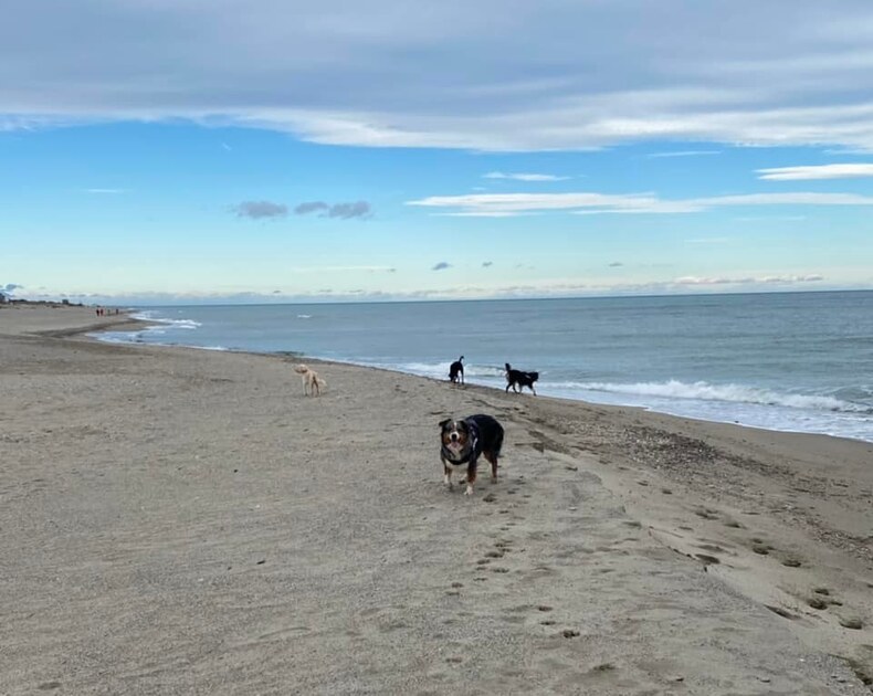 Entre mer et montagne, le sable 