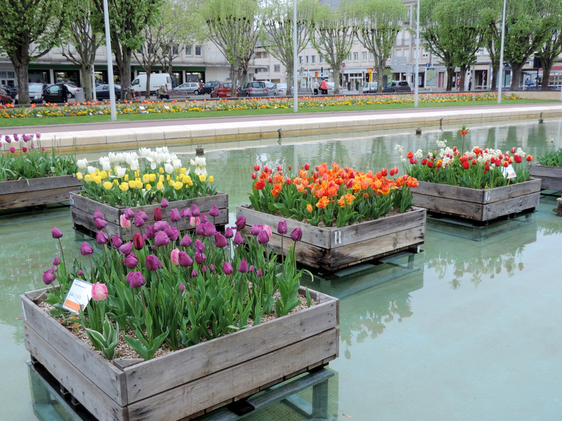 Centre-ville en fleurs...