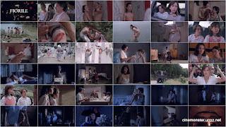 Fiorile / Wild Flower. 1993. HD.