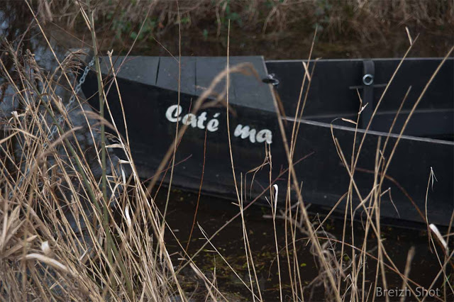 caté ma, port de bréca