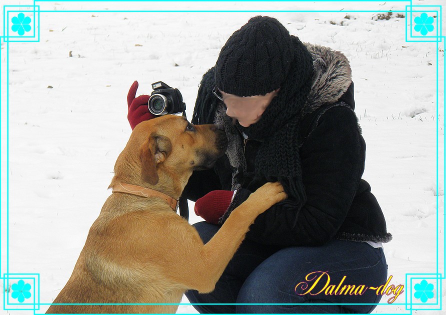 calin dans la neige