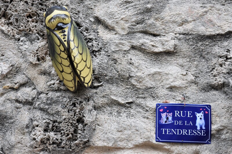 2019.05.08 Villages de Tourtour et Sillans la Cascade (département du Var) 2