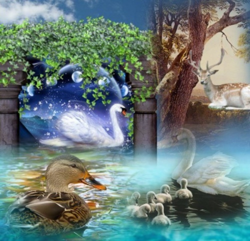 poeme quand je tes rencontrer