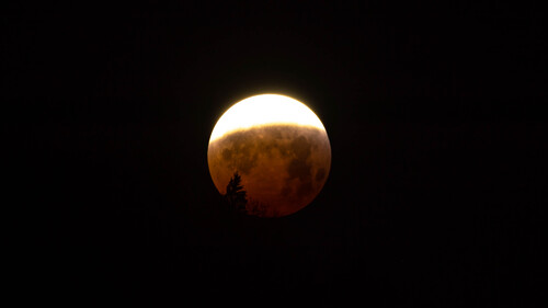 Eclipse de Lune 21 Janvier 2019