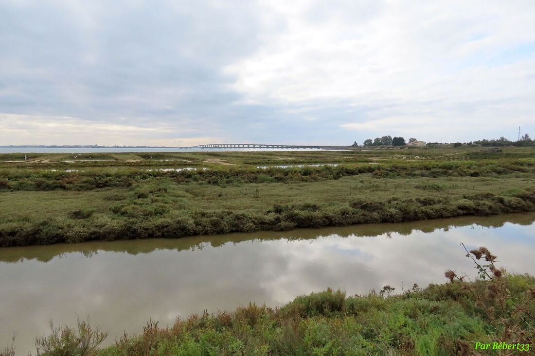 le pont d'Oléron depuis l'île