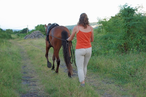 balade aux  longues rênes