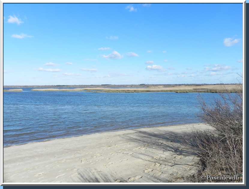 Le sentier du littoral au Teich