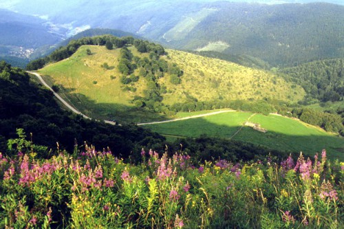 dégustez l'alsace en automne