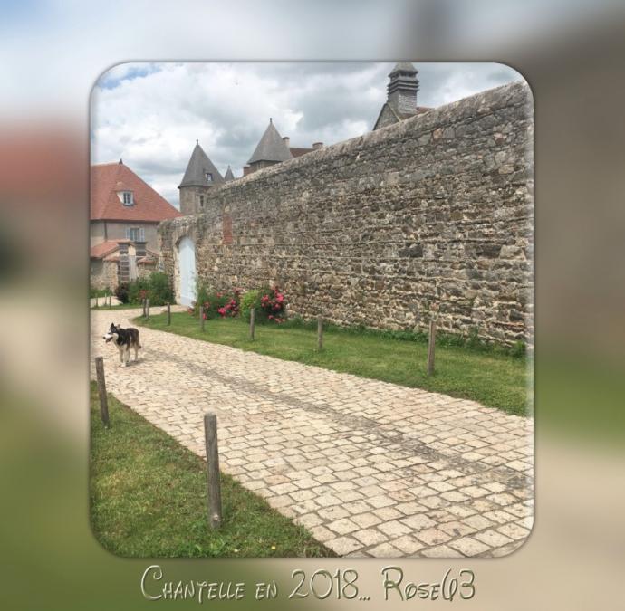 Mardi 14 janvier 2019 animations d' jardin