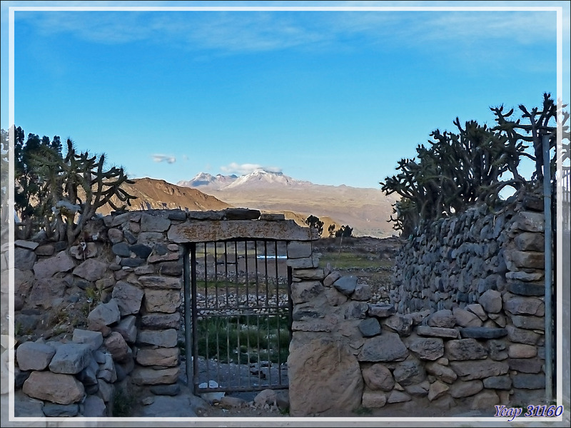 Le Nevado Hualca Hualca (6050m) visible de Chivay - Pérou