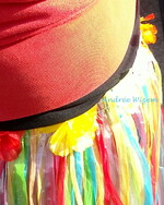 Carnaval de Romans sur Isère en images 2013...Du côté des enfants... 