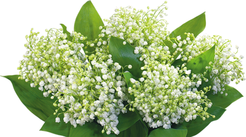 tubos de flores / ramos