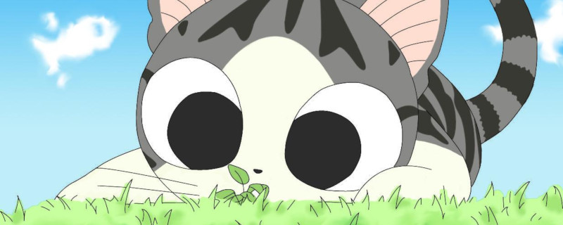 Chi's Sweet Home