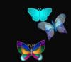 Papillons