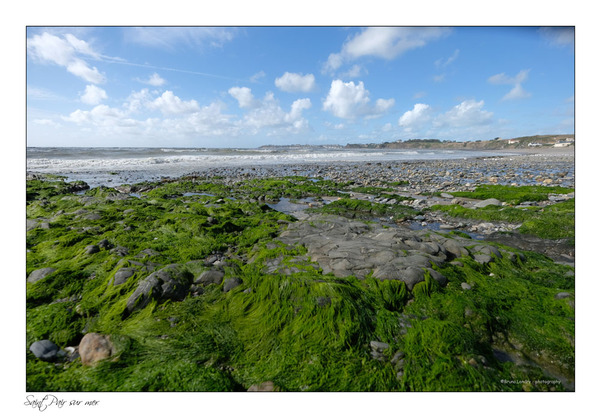 Saint Pair sur mer