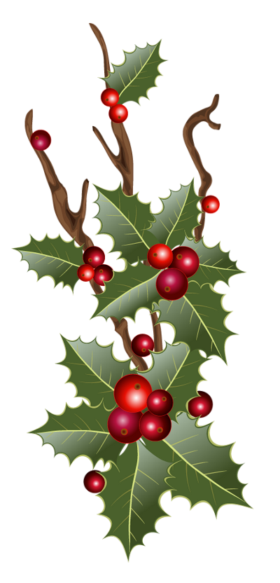 tubes noel / fleurs, gui, couronnes