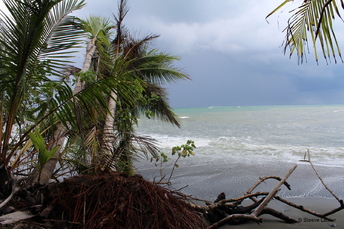 Les côtes costariciennes 1