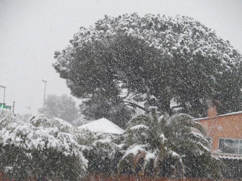 neige a Roquebrune (var)