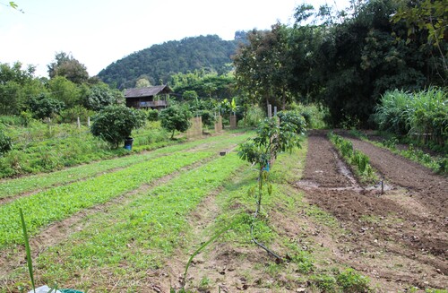 Village de Ban  Ta Pa Pao