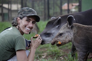 Tapirs ... 