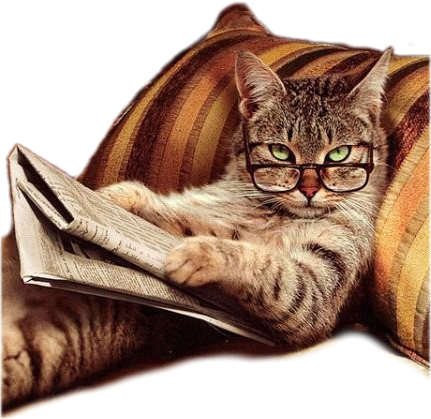 Résultat de recherche d'images pour "chat qui lit"