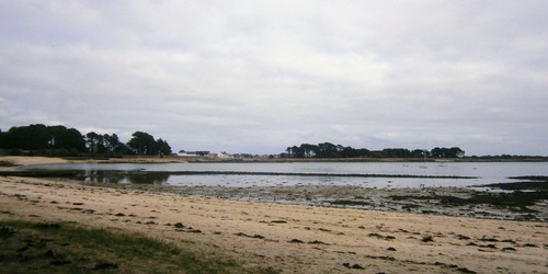 Rando à Saint Philibert le 18 03 2024 .55 randonneurs ont marché 8,8km dans des chemins côtiers humides et boueux !!!!!