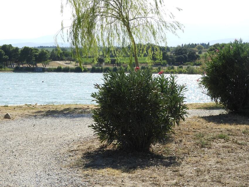 Promenade au lac de la Raho