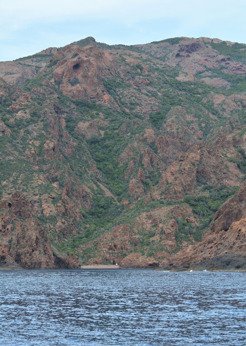 Promenade en mer dans la Réserve Naturelle de Scandola 