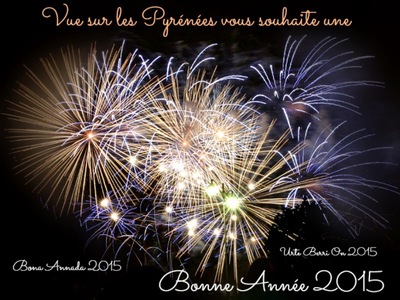 Bonne Année 2015 des Pyrénées   bona annada Urte Berri On 2015