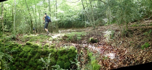 Fin de saison à Nant