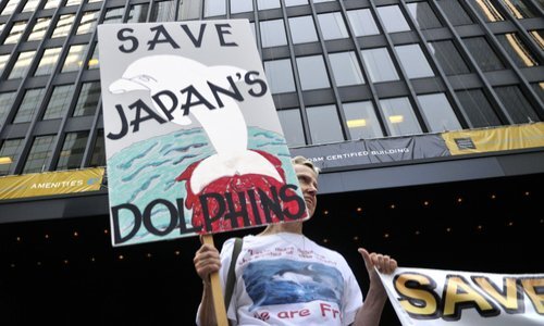 Pétition : Arrêt du massacre des dauphins au Japon.