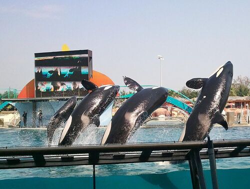 MARINELAND