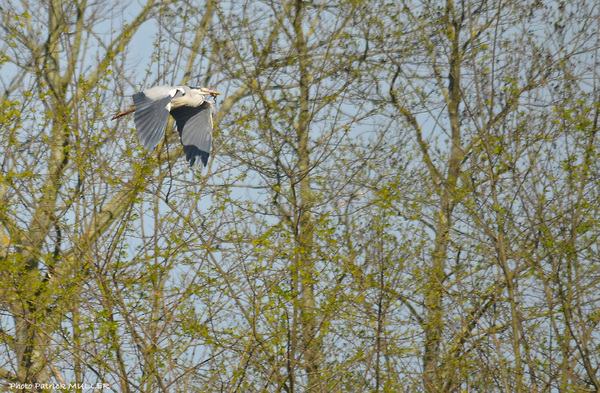 Sortie à Aiguelongue