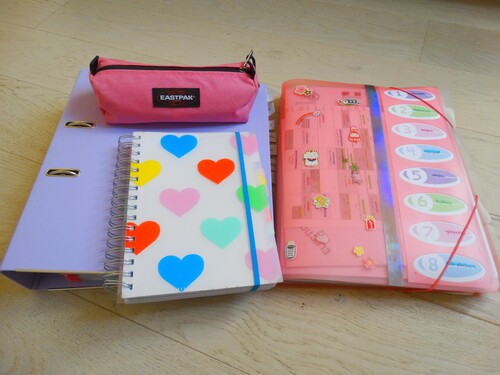 Mon organisation pour les cours~ (Terminale L)