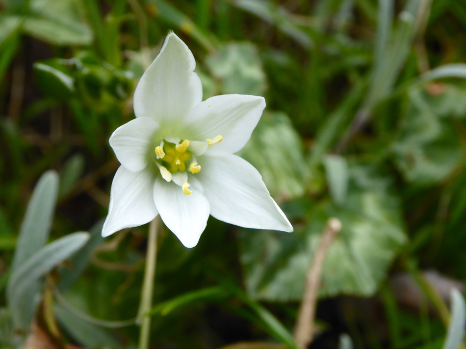 Pause avec les dernières fleurs