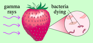 Fraise nucléaire