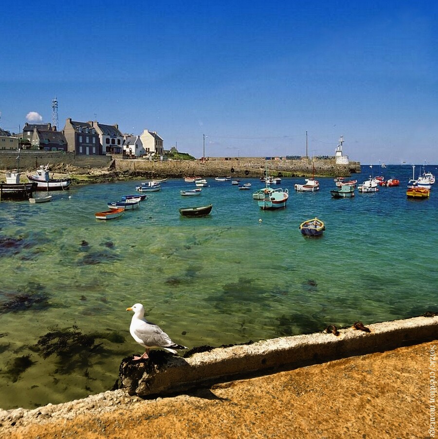 Les Quatre-saisons La Bretagne