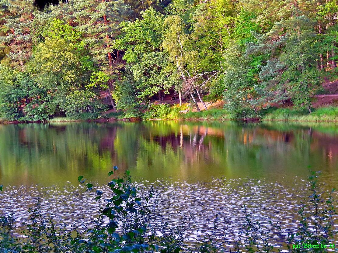 le lac de Bitche en Moselle