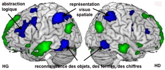 La Bosse Des Maths Existe Chez Chacun De Nous Dans Quel Monde Sommes Nous